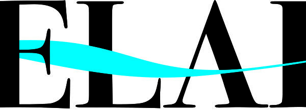 VELAIR logo-blk