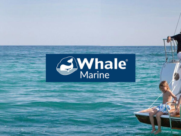 whale-header